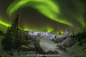 Northern lights on the tundra