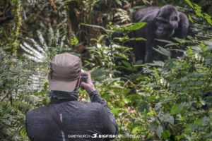 Gorilla Trekking in Bwindi