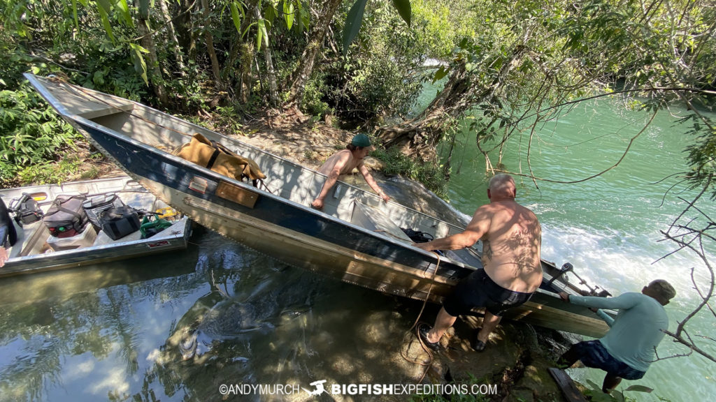 Diving with Giant Anacondas in Brazil.
