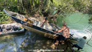 Boat Diving with Anacondas in Brazil.