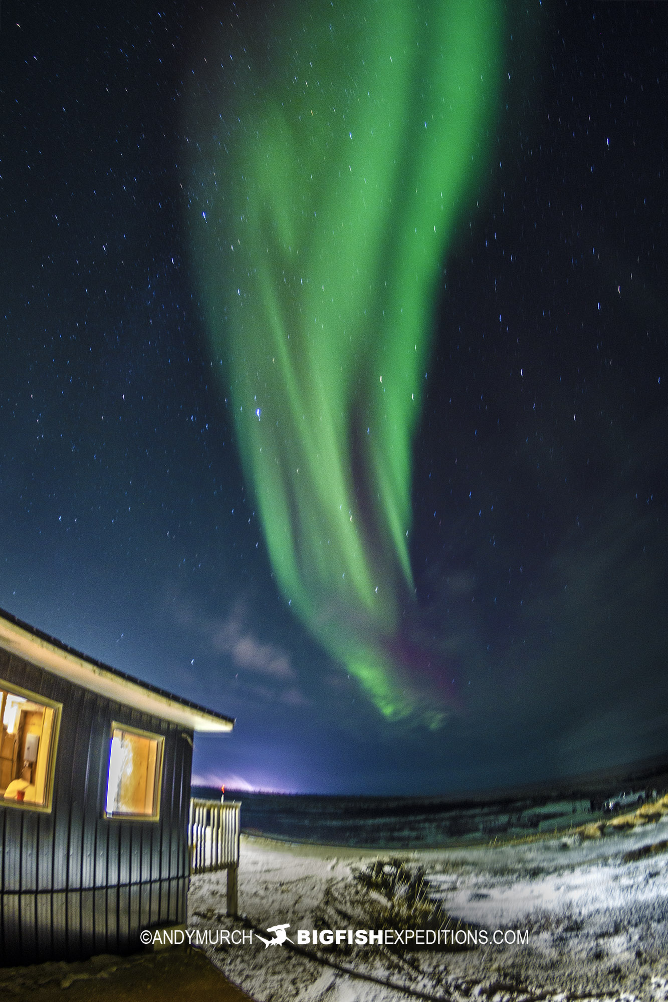 Polar Bear tour Aurora Borealis.