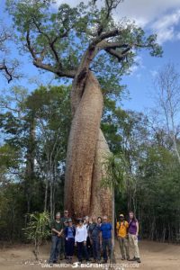 Madagascar wildlife photography tour.