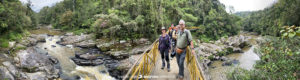 Ranomafana National Park