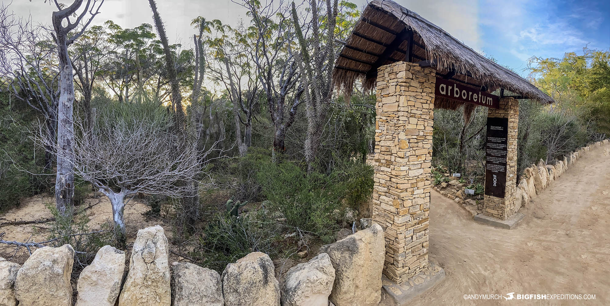 Toliara Antsoke Arboretum.