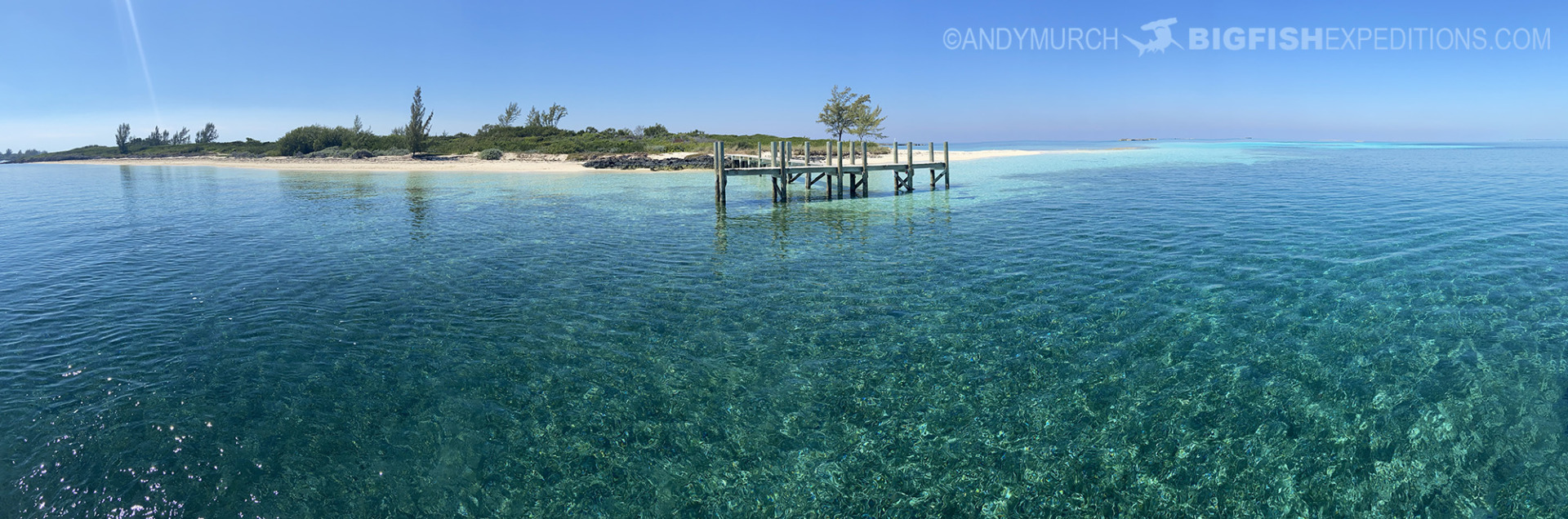 Gun Cay stingray dive.