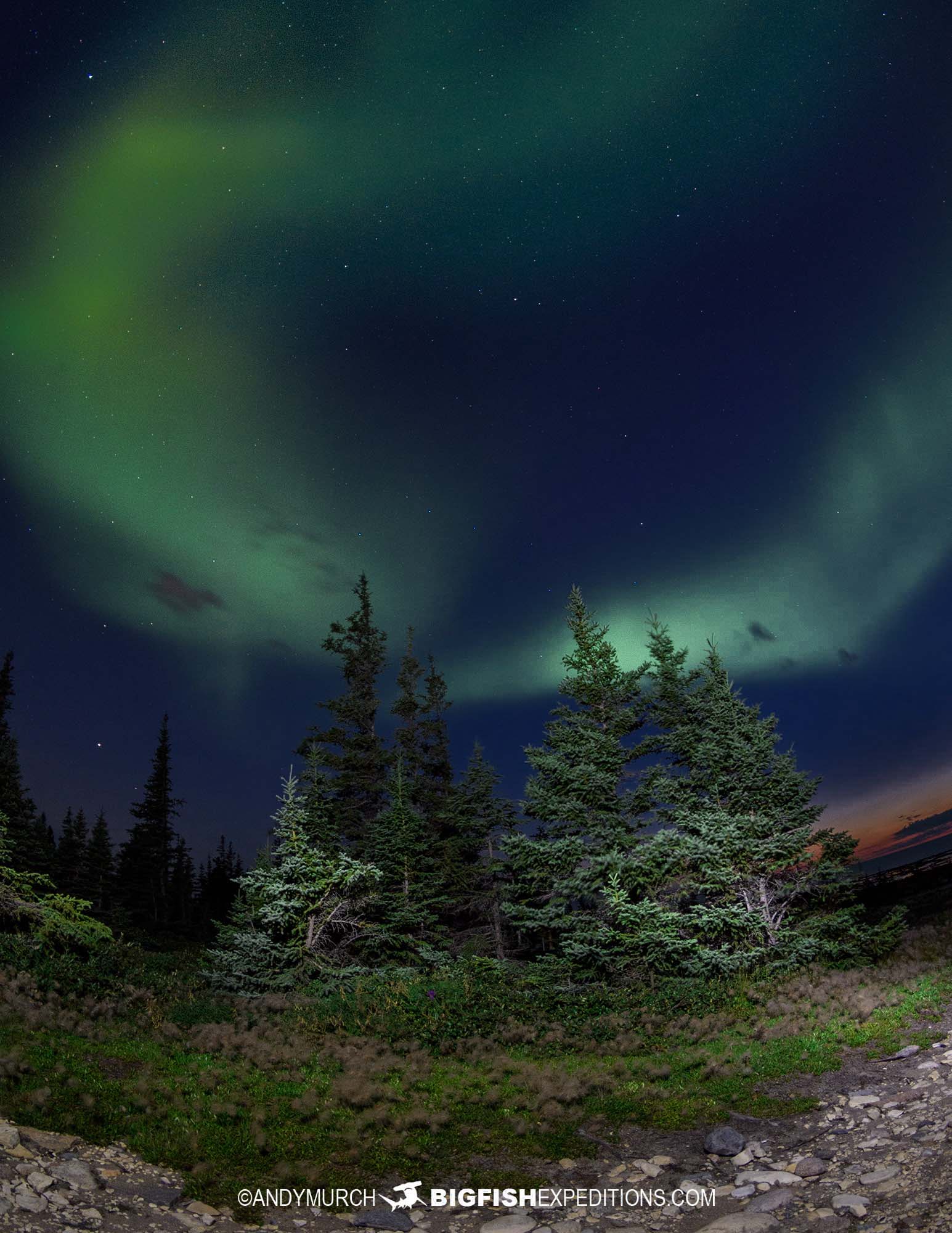 Photographing the Northern Lights in Churchill, Canada.