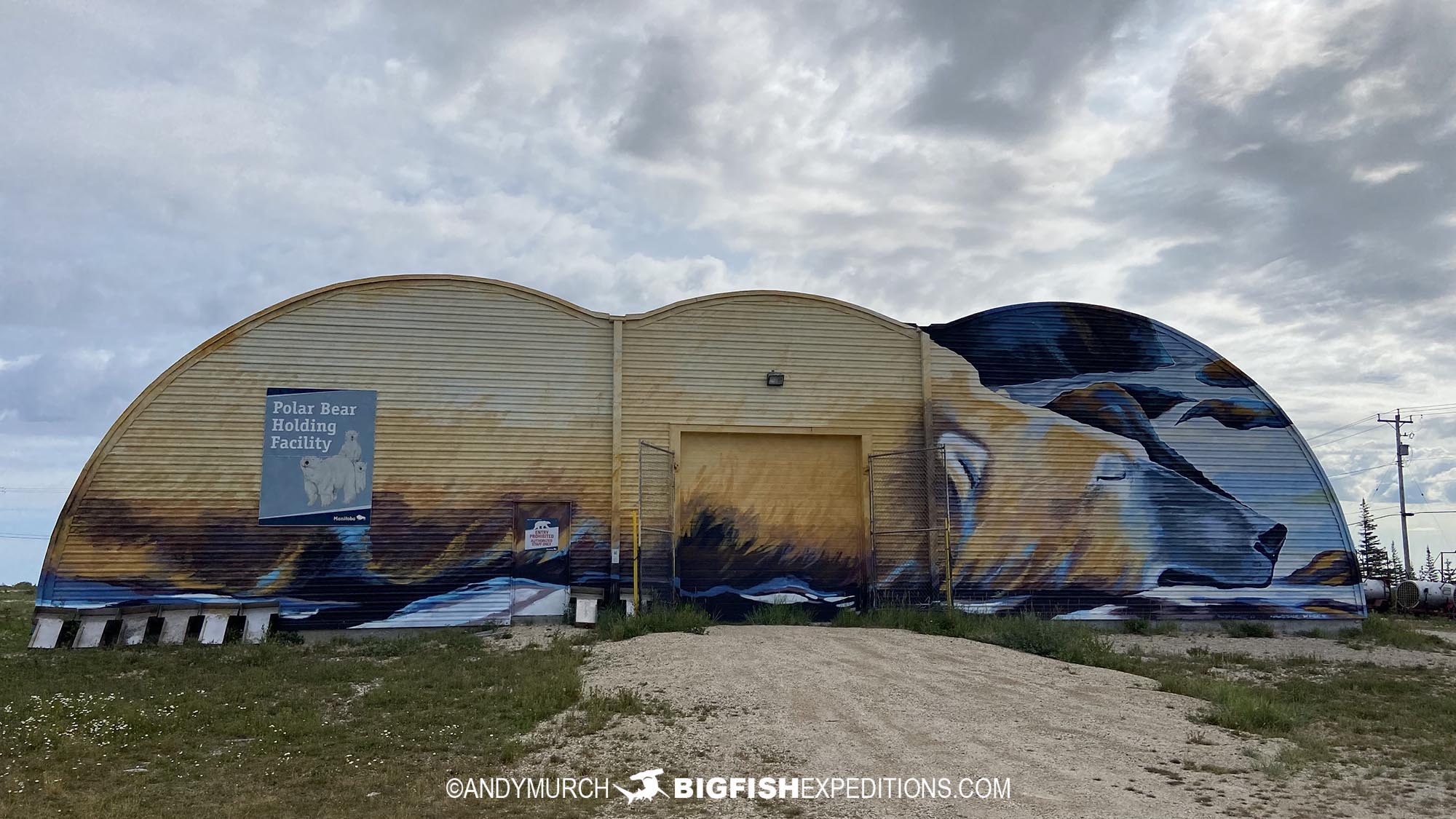 Polar Bear Holding Facility, Churchill.