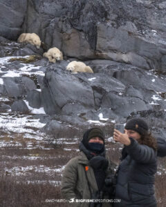 Polar Bear selfie on the tundra near Churchill, Canada.
