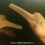 Pink Dolphin Snorkeling Tour 2025