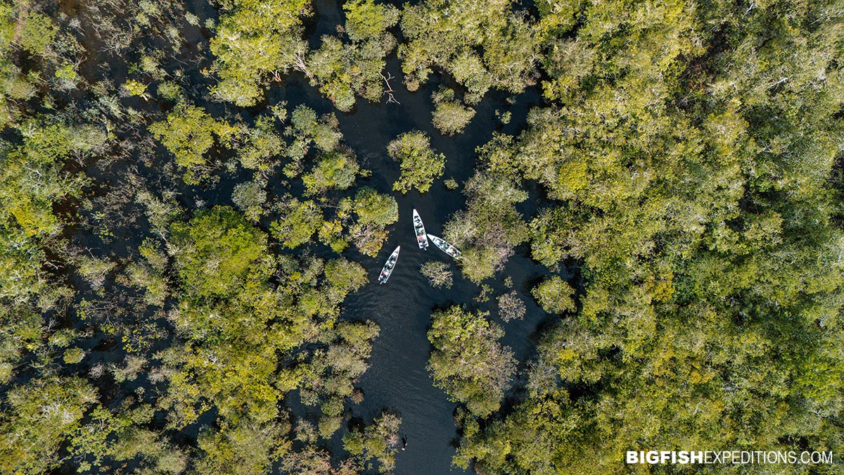 Amazon snorkeling adventure.