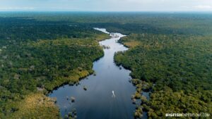Rio Negro Snorkeling Tour.
