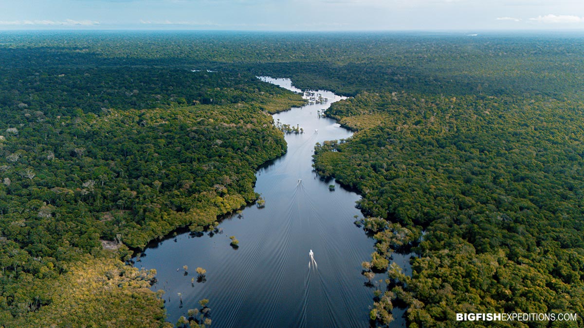 Rio Negro Snorkeling Tour.