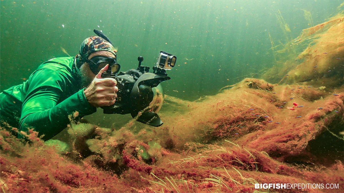 Snorkeling in the Amazon tour.