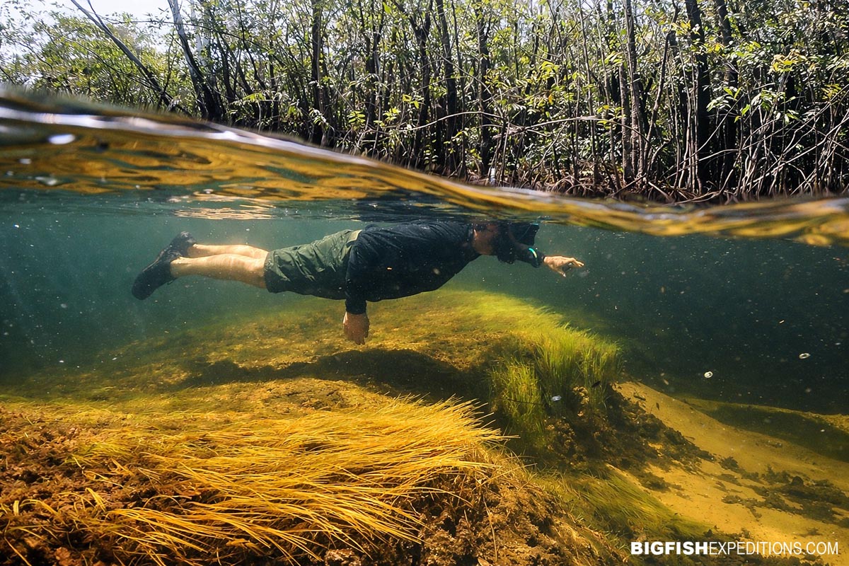 Underwater Amazon snorkeling adventure.