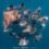 Baja Marine Mega Fauna 2026