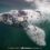 Southern Right Whales 2026 Week 1